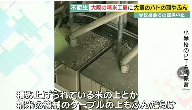 JAの精米工場がハトだらけ…至るところにフン　小学校給食にも出荷　保護者らが調査し発覚　大阪・枚方市