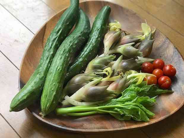 播きっぱなし植えっぱなしでOK！　無精者でも育てられるほったらかし菜園作ろうぜ | Akimama - アウトドアカルチャーのニュースサイト