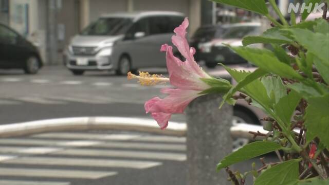 沖縄地方が“梅雨入り” 平年と比べ6日早く 気象台 | NHK | 気象