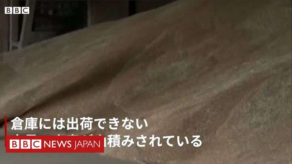 ウクライナの倉庫に出荷できない小麦の山、農家の目に涙　食料危機の懸念 - BBCニュース
