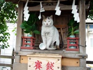 コメントすると願いが叶うトピ part3