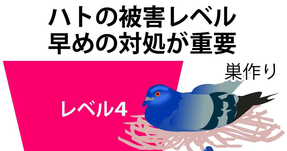 ハト害で「洗濯物も干せない」　コロナ禍に相談倍増 - 産経ニュース