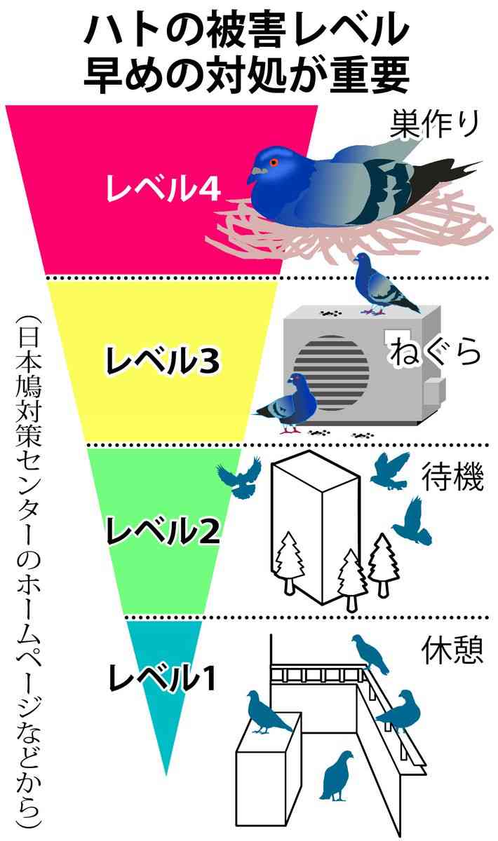 ハト害で「洗濯物も干せない」 コロナ禍に相談倍増