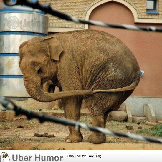 【ぼっち】っぽい画像!