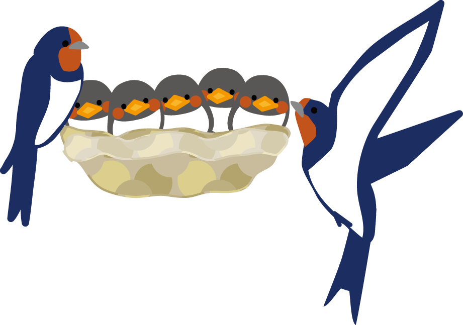 ツバメの巣🐦