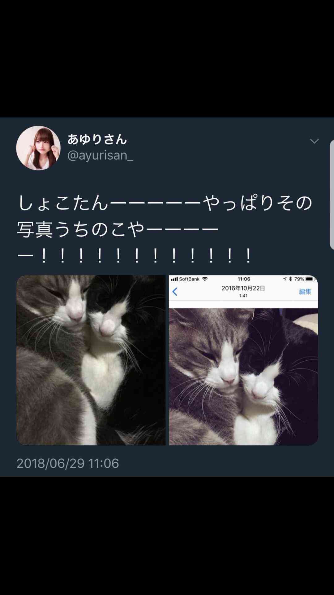 “愛猫家”中川翔子、猫の高血圧症に警鐘「命を大事に生きていかないといけない」「ねこもわたしも『いのちだいじに』」