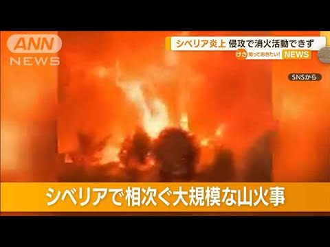 シベリア“山火事”相次ぐが・・・“侵攻”で消火できず(2022年5月4日) - YouTube