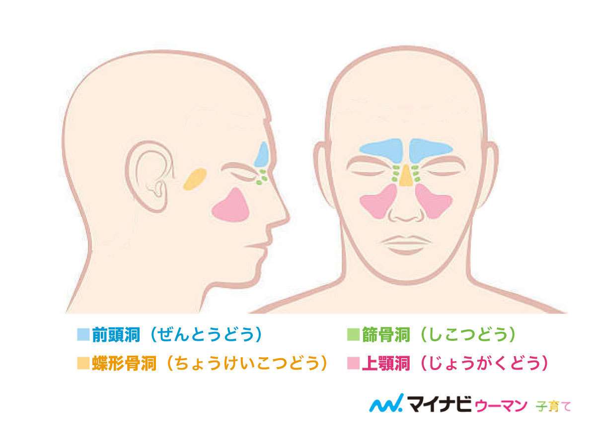 水泳の授業の思い出