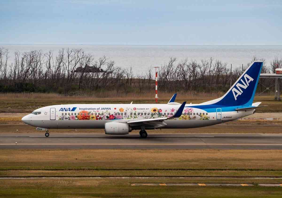 ANA、CAたちが戦々恐々…何気ない私的SNS投稿で乗務停止処分→自主退職が相次ぐ