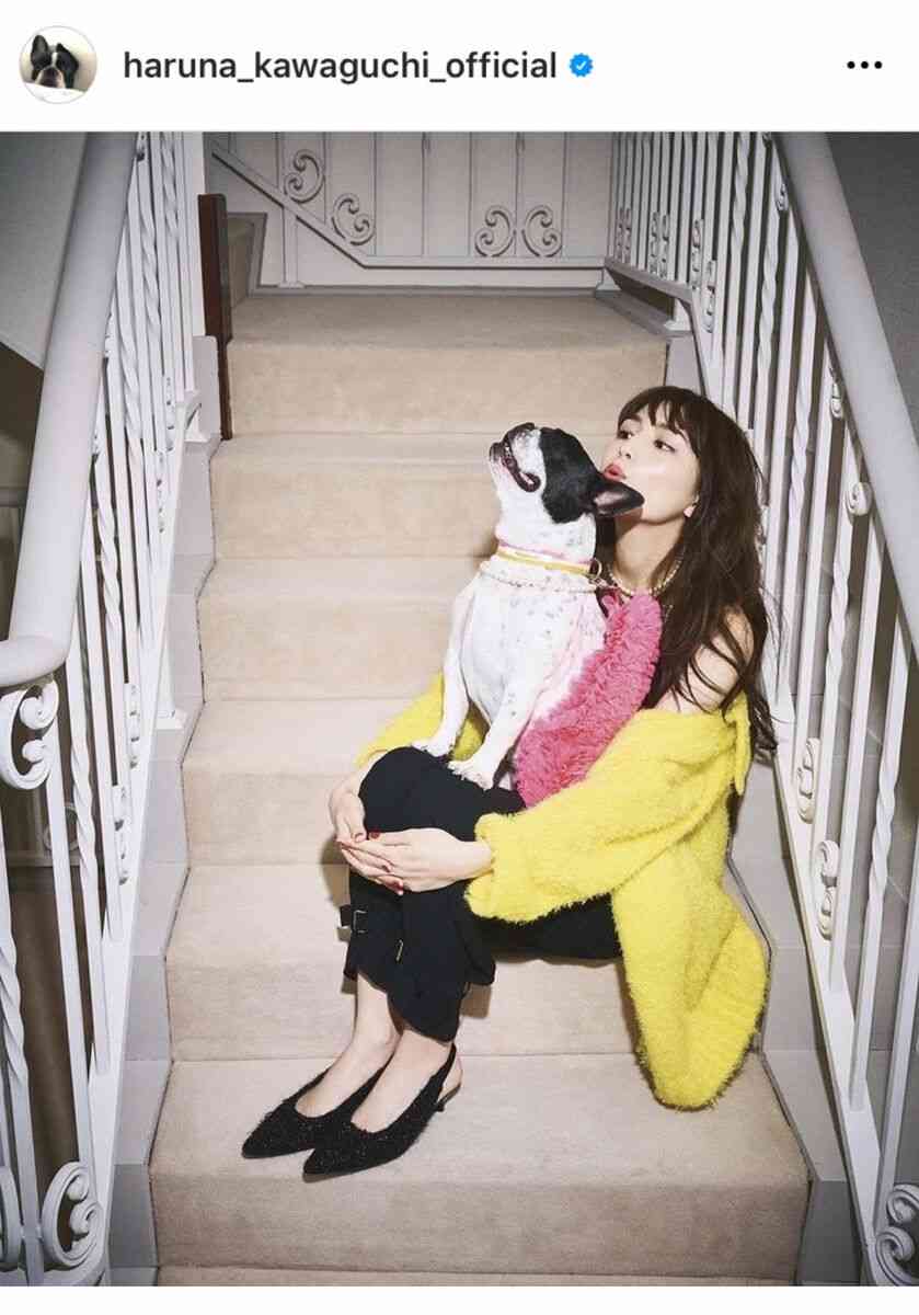川口春奈「一緒にいると似てくる」…愛犬フレンチブルドッグとの写真に「そっくり」の声多数