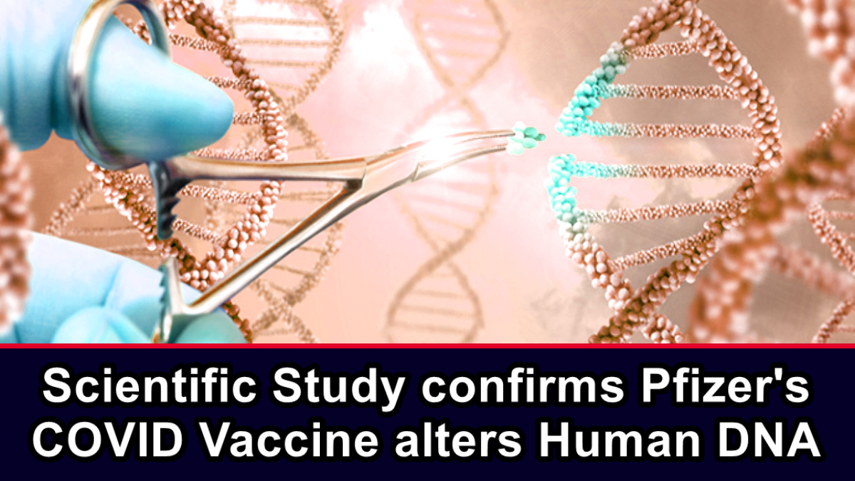 Scientific Study confirms Pfizer’s COVID Vaccine alters Human DNA – The Expose