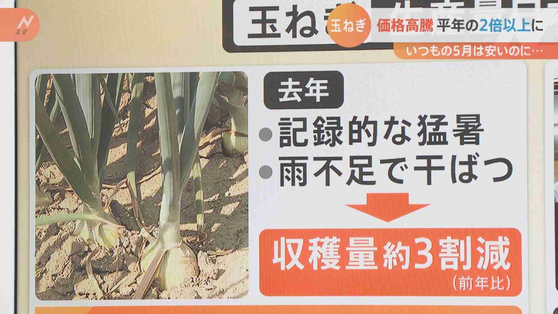“激安”のはずが約2.5倍に…天候不良で玉ねぎが高い コロナと円安も重荷