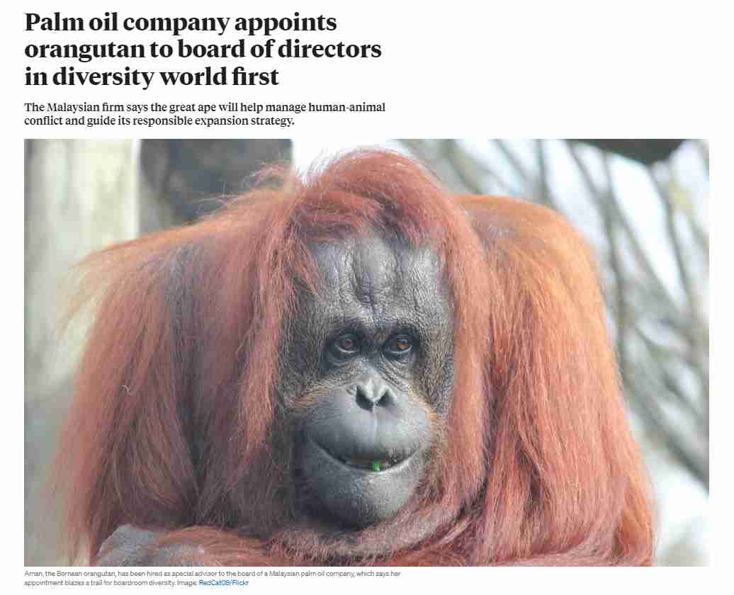 【海外発！Breaking News】オランウータンがパーム油会社の取締役に就任　タッチスクリーンで意思表示（マレーシア） | Techinsight（テックインサイト）|海外セレブ、国内エンタメのオンリーワンをお届けするニュースサイト