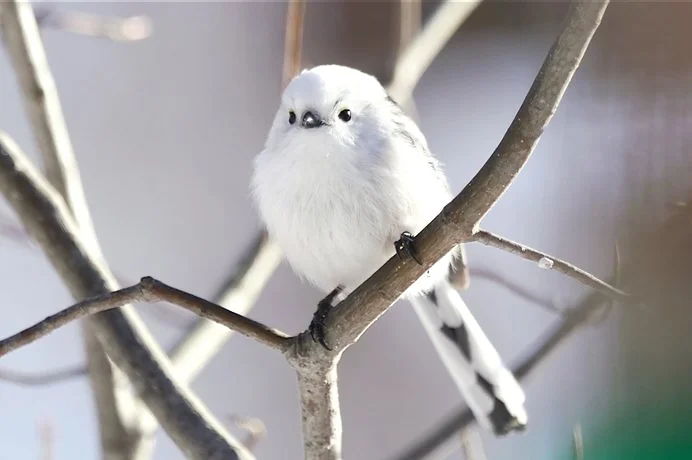 地球上で一番可愛い生き物