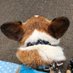 らんらん????RCEP反対 on Twitter: 