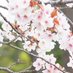 高畑博 on Twitter: 