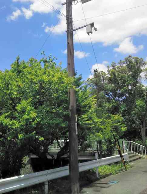 電柱に防犯カメラ　個人宅もＯＫ　中部電力新サービス：朝日新聞デジタル