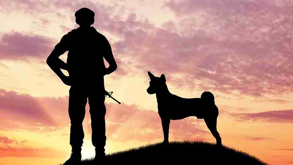 忘れ去られた犬の特攻隊　〜戦争の記憶を風化させない〜 | わんちゃんホンポ
