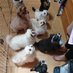 南相馬市ほそだ接骨院 on Twitter: 