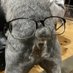 児玉慎一郎 on Twitter: 