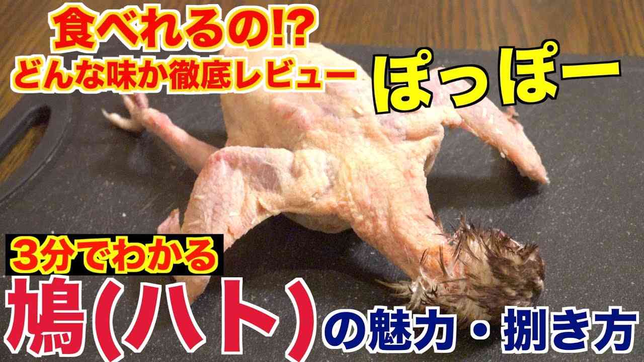 【衝撃】食用鳩(ハト)の魅力と食べ方 - YouTube