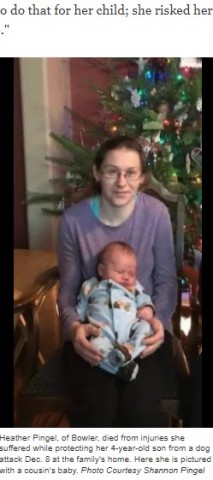 飼い犬に襲われた4歳息子を守った母親、両腕を噛みちぎられ8日後に死亡（米） | ニコニコニュース