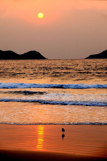 【ぼっち】っぽい画像!