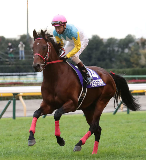 ぬいぐるみも発売“アイドルホース”ヨシオが引退　JRA馬事公苑で乗馬に - 競馬 : 日刊スポーツ