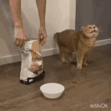 【こんなご時世だし】おもしろいGIFを貼るトピ【part2】
