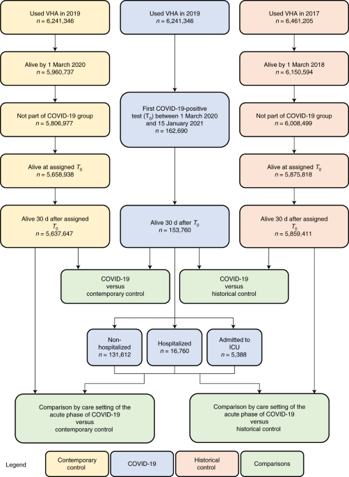 Long-term cardiovascular outcomes of COVID-19 | Nature Medicine