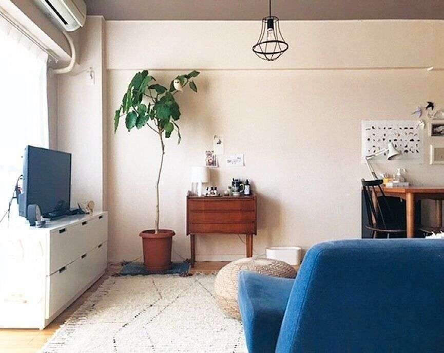 【1LDK・54平米・築45年】物が多くても居心地がいい「飾り方の黄金ルール」5つ