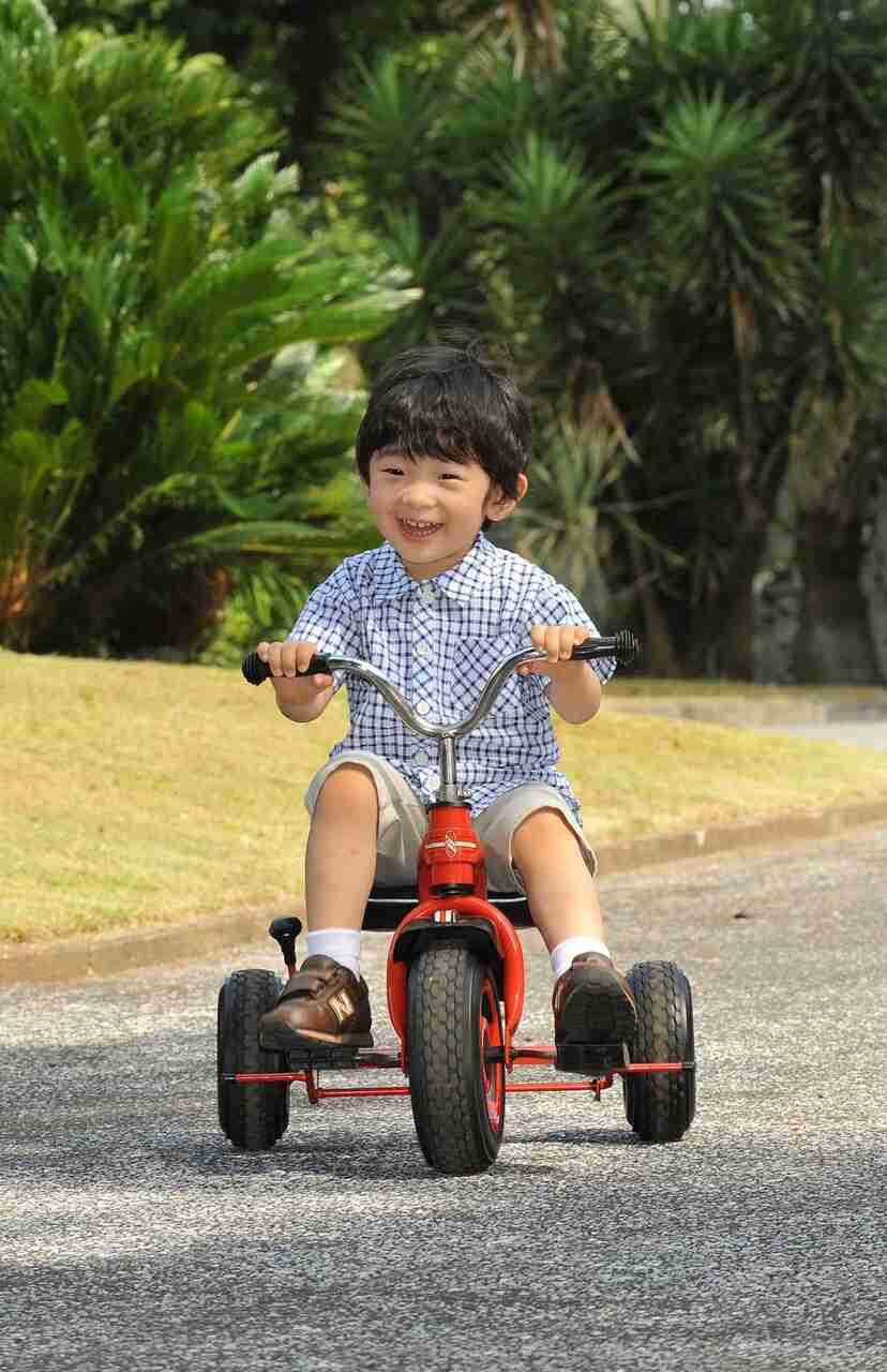 盆栽に興味があるひと!