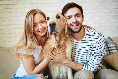 愛情表現が多い「犬系彼氏」と付き合うと幸せになれるって、本当なの？ » yummy!