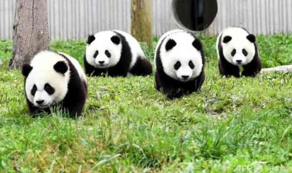 アンガ田中　彼女の誕生日にあげたプレゼントが話題「中学生カップル？」「かわいくて笑う」