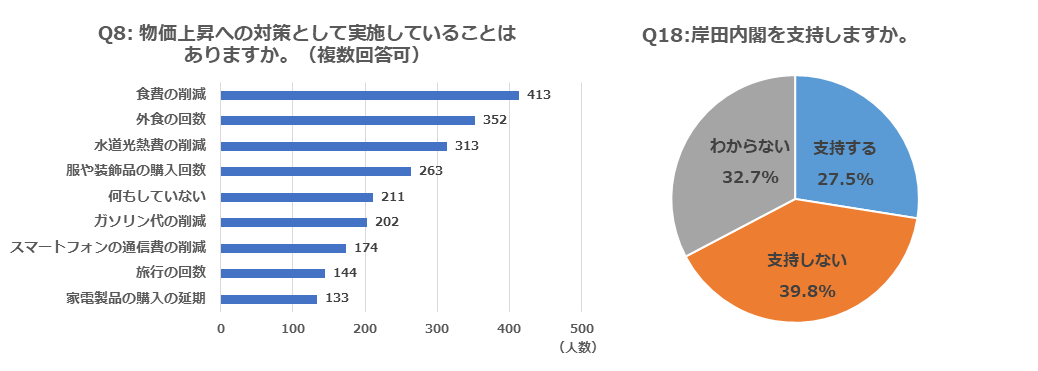 物価高で「生活に打撃」７割超す　～対策は食費削減がトップ。岸田内閣不支持が支持を上回る～｜紀尾井町戦略研究所株式会社のプレスリリース