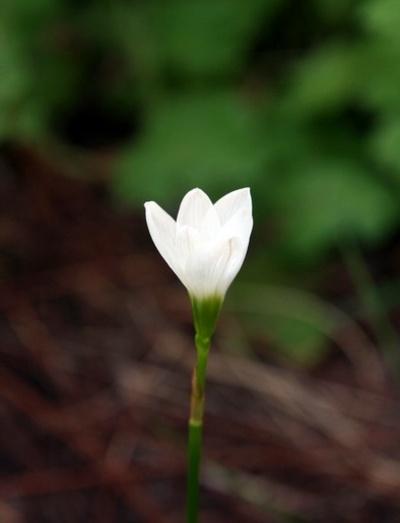 タイタニックはＦＲＢ創立と戦争に反対する複数の大富豪暗殺目的であると同時に、保険金詐欺だった！ | wantonのブログ