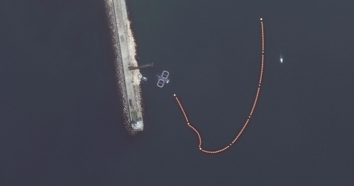 露、イルカ軍事利用か　セバストポリ港で艦船守る　米報道 - 産経ニュース