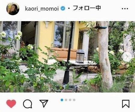 桃井かおり　LAの自宅庭がオシャレの極み「バラの香りで目が覚めた」に「映画見たい」