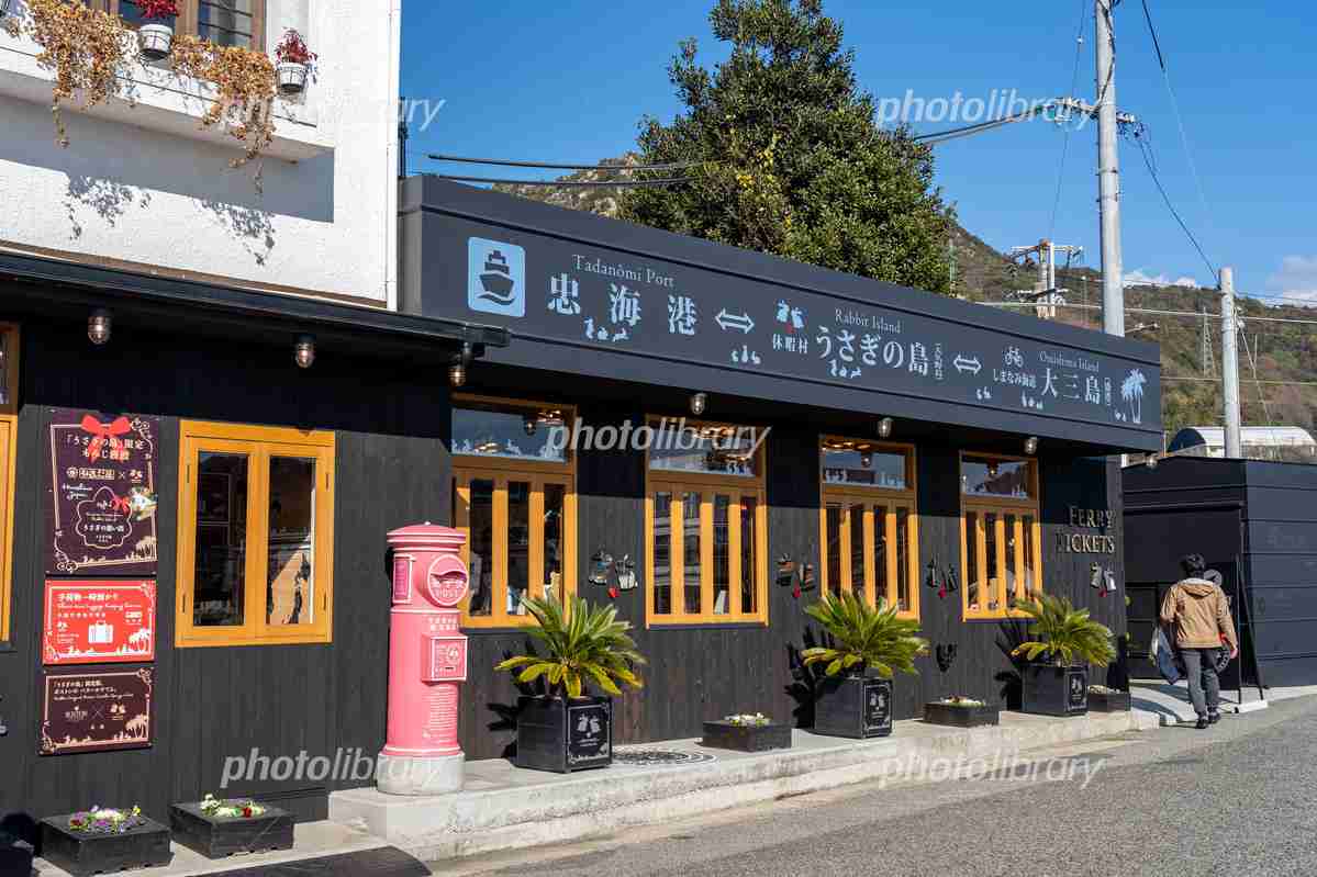 「ウサギ島」ピンチ、観光客が放置したエサで「天敵」増える矛盾