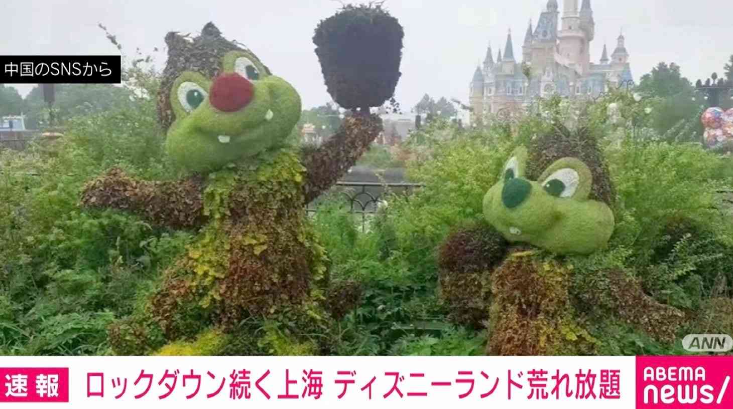 上海ディズニーランド ロックダウンで変わり果てた姿に 再開目処は立たず | 国際 | ABEMA TIMES