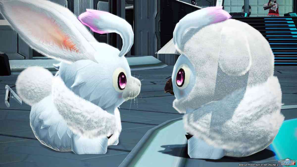 【5月】ラヴィット好きな人集合