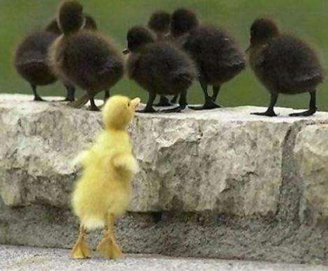 【ぼっち】っぽい画像!