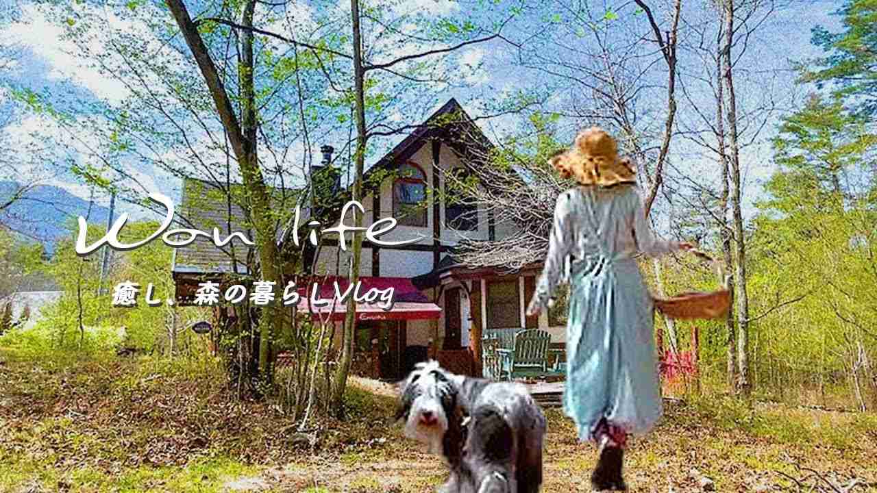 【癒し?森の家】心の疲れを癒したい方お見逃しなく | 60代 主婦 森林浴で活力を得る| 森の妖精 と戯れる山菜採り | 自然の恵み 山菜天ぷら | 八ヶ岳 散歩 | vlog#78 - YouTube