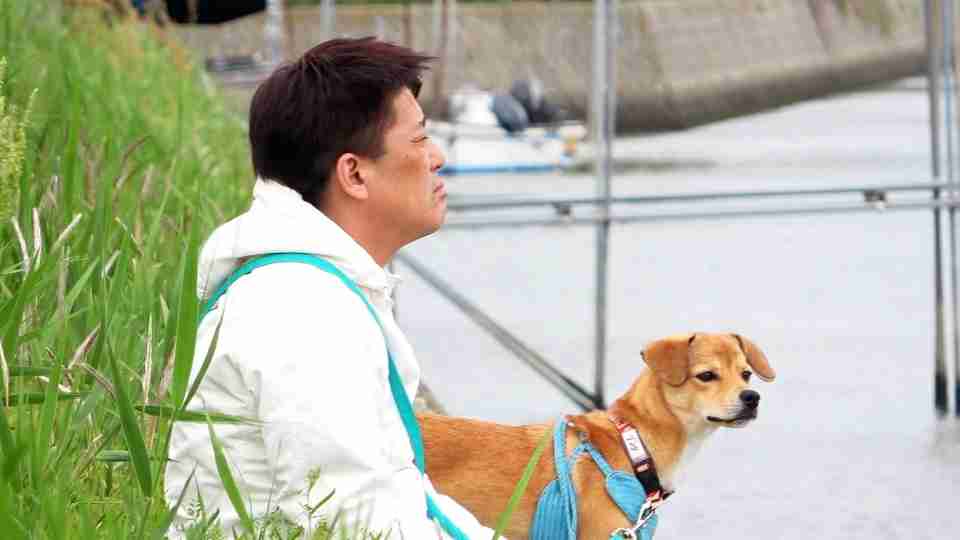坂上忍、5匹の犬＆10匹の猫の保護活動で奮闘「いい里親さんを探せたら…」　厳しい現実に直面（オリコン） - Yahoo!ニュース