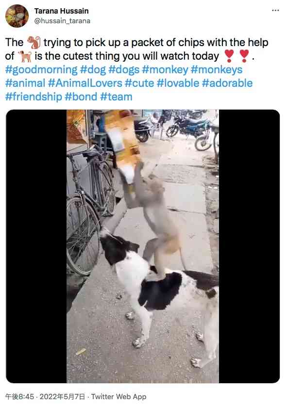 犬の助けを借りて店先のお菓子を盗もうとする猿（印）