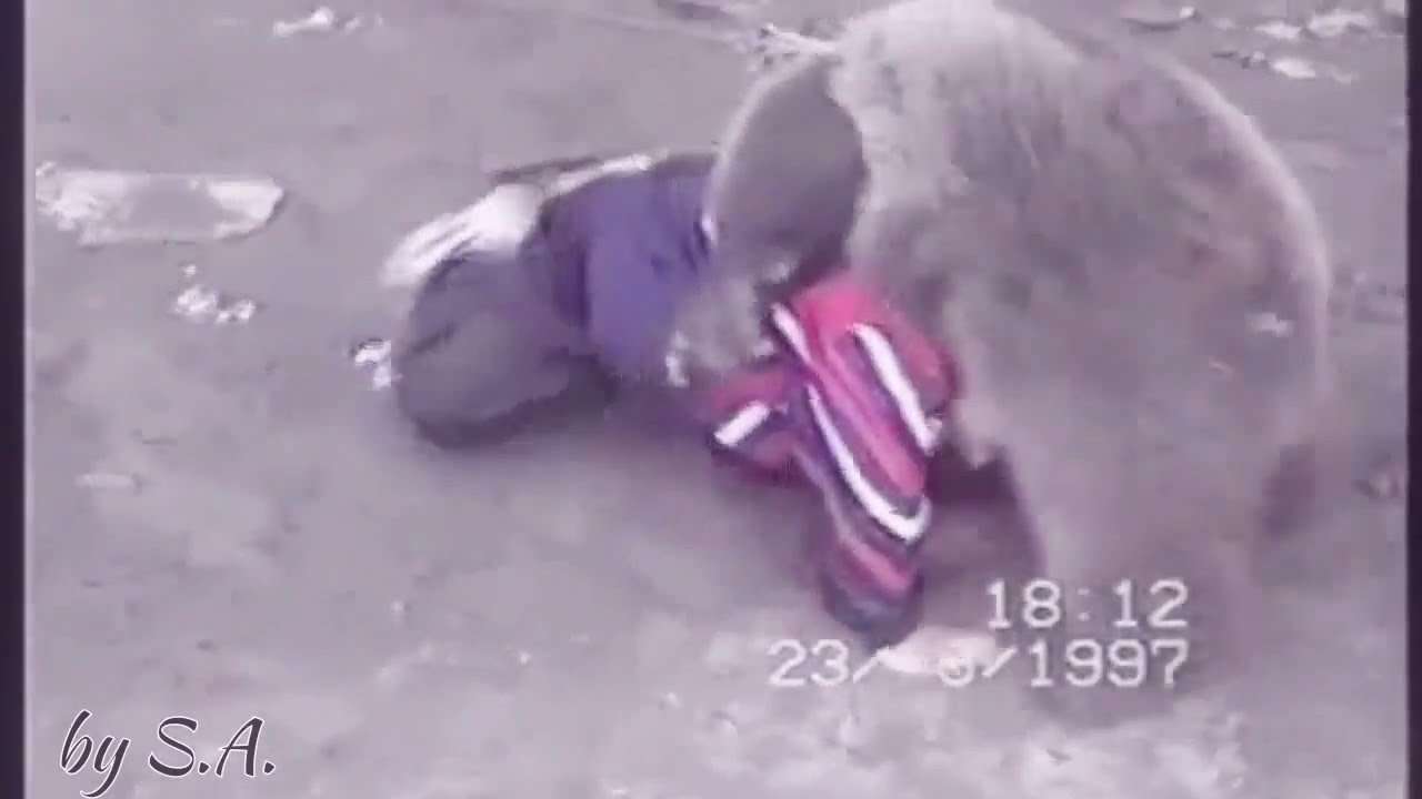 Khabib Nurmagomedov vs. Bear - YouTube
