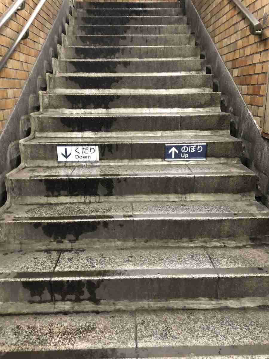 地下鉄の階段、“片側だけ濡れている理由”が話題に「いかに日本人が律儀なのかがよくわかる写真」