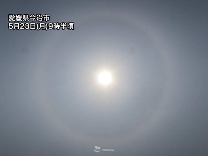 西日本でハロが出現　午後も上層雲が多い状況続く - ウェザーニュース
