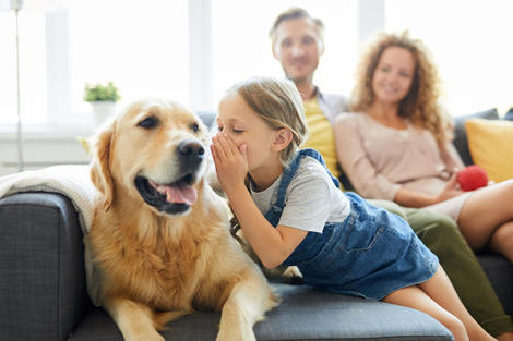 子どもに急増する原因不明の急性肝炎、飼い犬と関連？