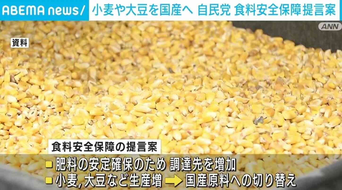 小麦や大豆を国産へ 自民党の食料安全保障強化策の原案が明らかに